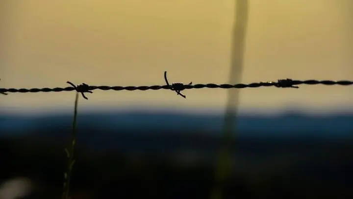 Stacheldraht vor unscharfem Abendhimmel in Gelbtönen