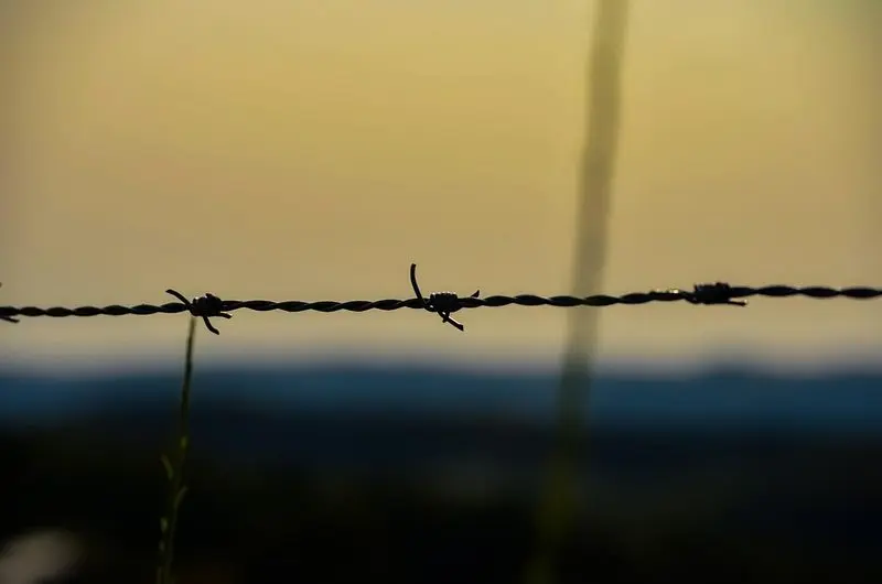 Stacheldraht vor unscharfem Abendhimmel in Gelbtönen