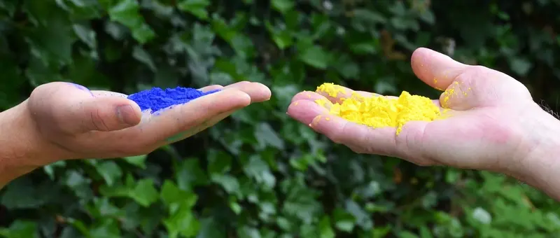 Zwei Hände halten blaues und gelbes Farbpulver vor grünen Blättern