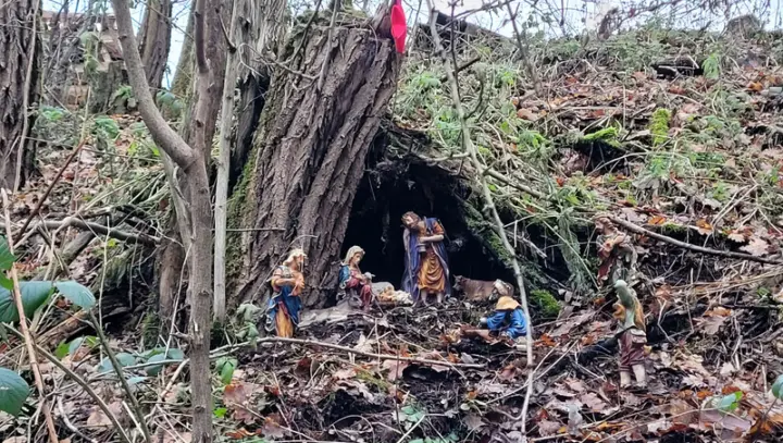 Krippenfiguren in einer Höhlung am Fuß eines Baumes im Wald