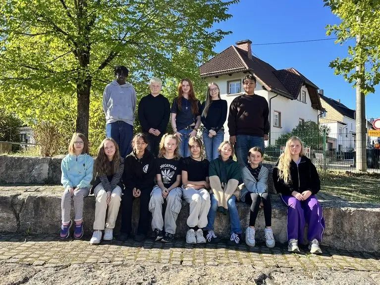 Gruppenfoto der Schülervertretung: dreizehn Jugendliche sitzen und stehen auf einer Steinmauer unter einem Baum