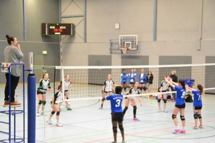 Volleyballspiel in der Halle: Spielerinnen in blauen Trikots am Netz, Schiedsrichterin auf dem Hochstuhl