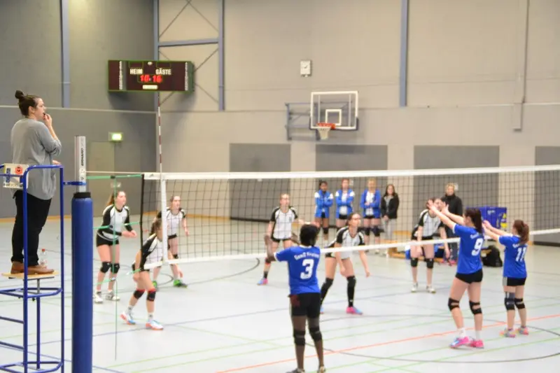 Volleyballspiel in der Halle: Spielerinnen in blauen Trikots am Netz, Schiedsrichterin auf dem Hochstuhl