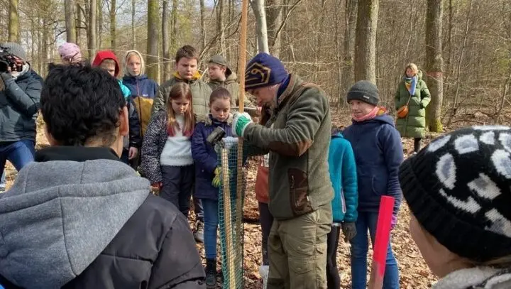 Mann befestigt im Wald ein Schutznetz um einen Setzling, Kinder schauen zu